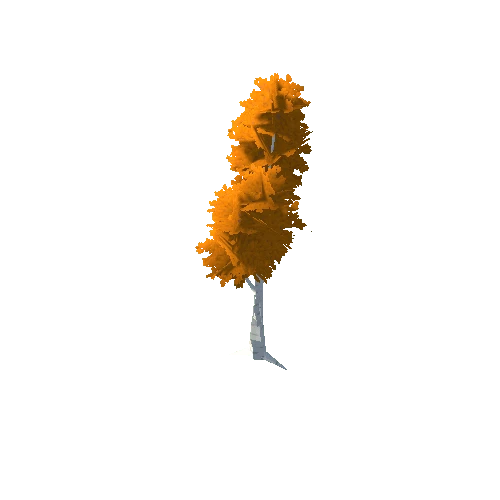 Birch Tree Orange Big 02